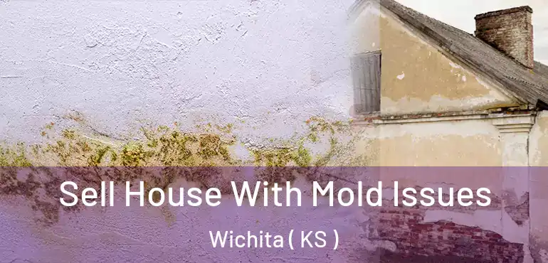  Sell House With Mold Issues Wichita ( KS )